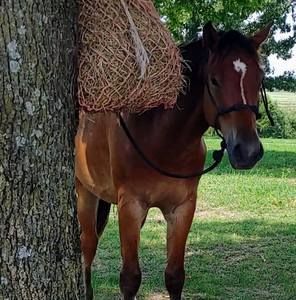 Meet your Posher, Becky